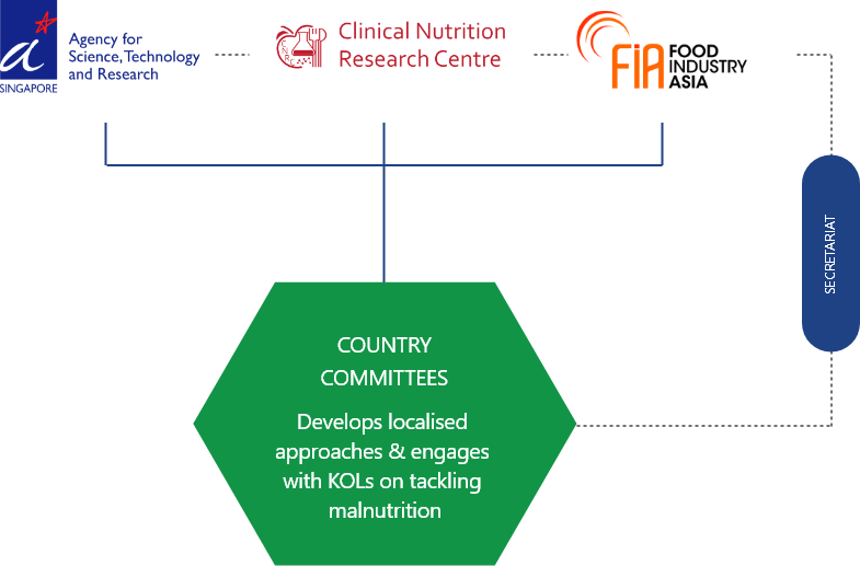 governance structure